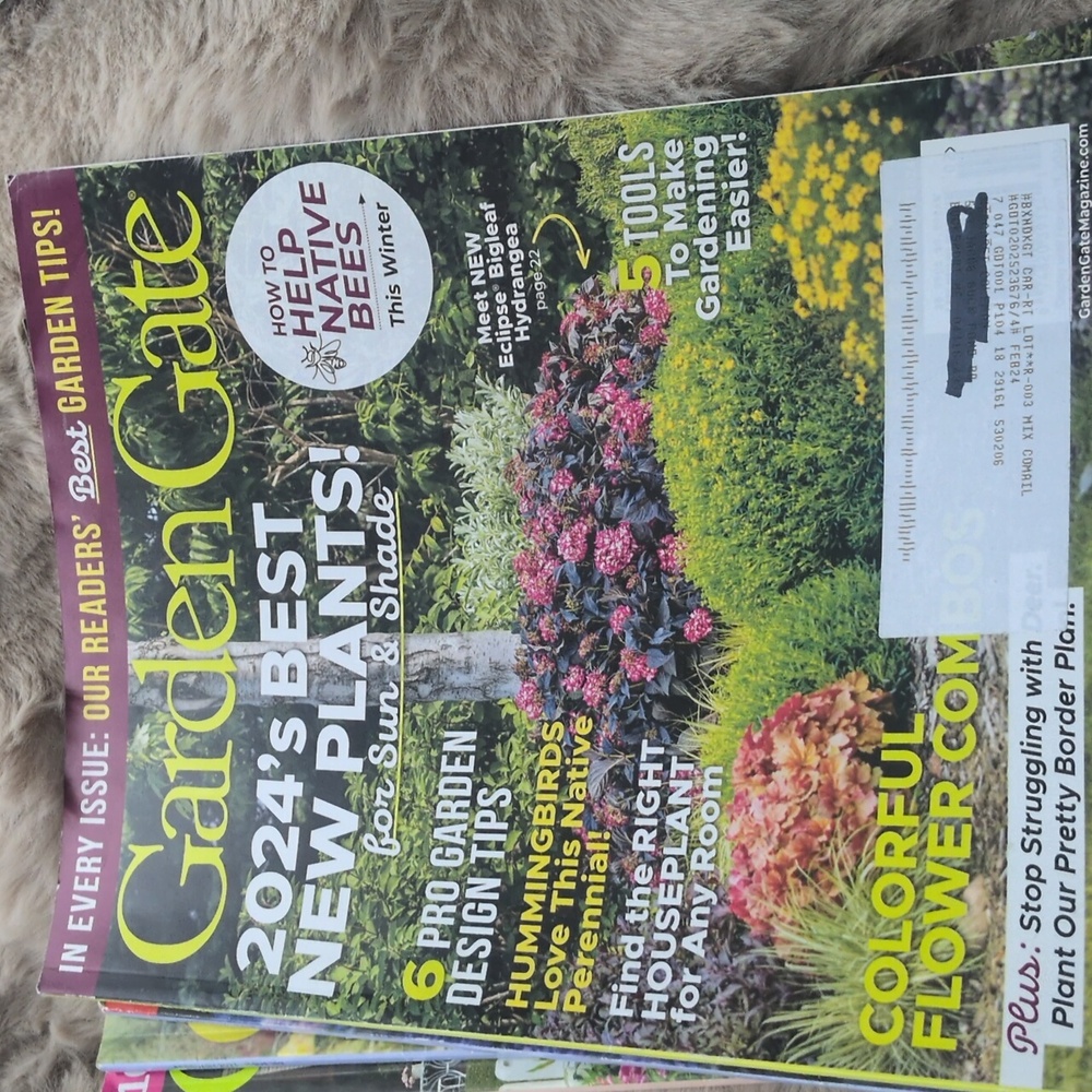 Garden Guide Magazine Collection - Picture 4 of 7